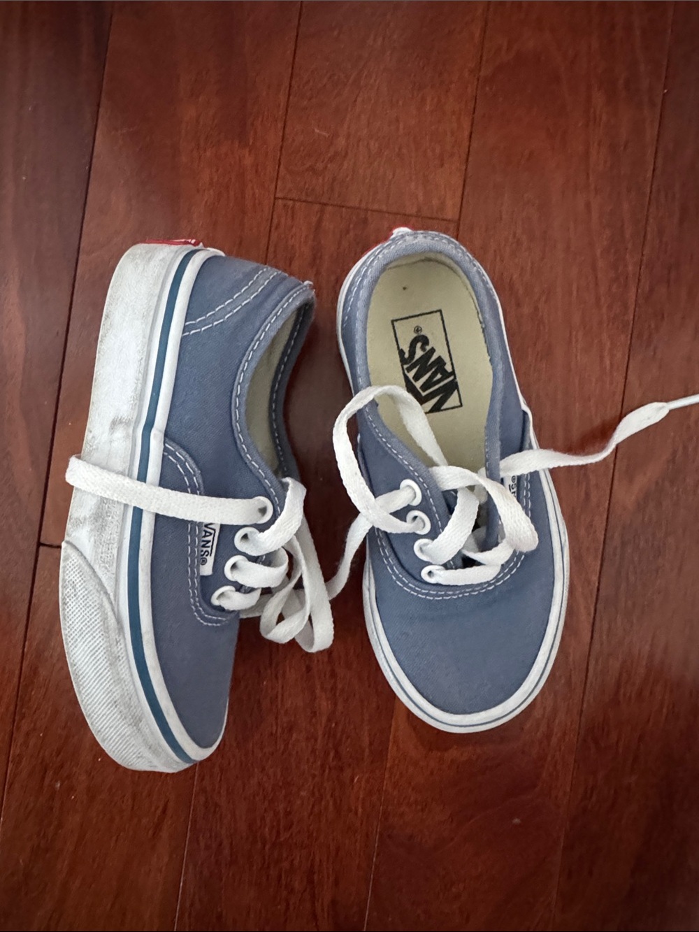 Vans Kids Authentic Canvas Sneakers in Blue